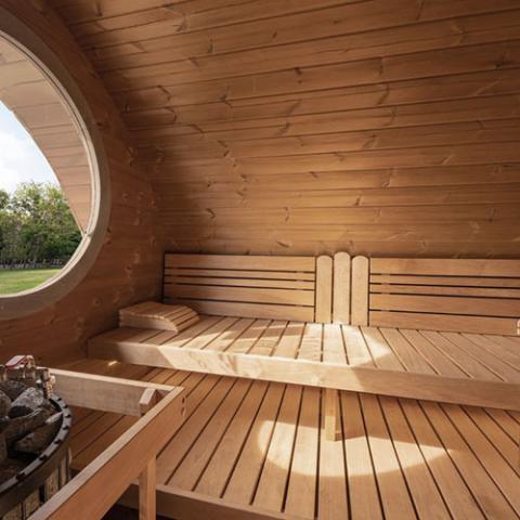 SaunaLife Model G11 Outdoor Home Sauna